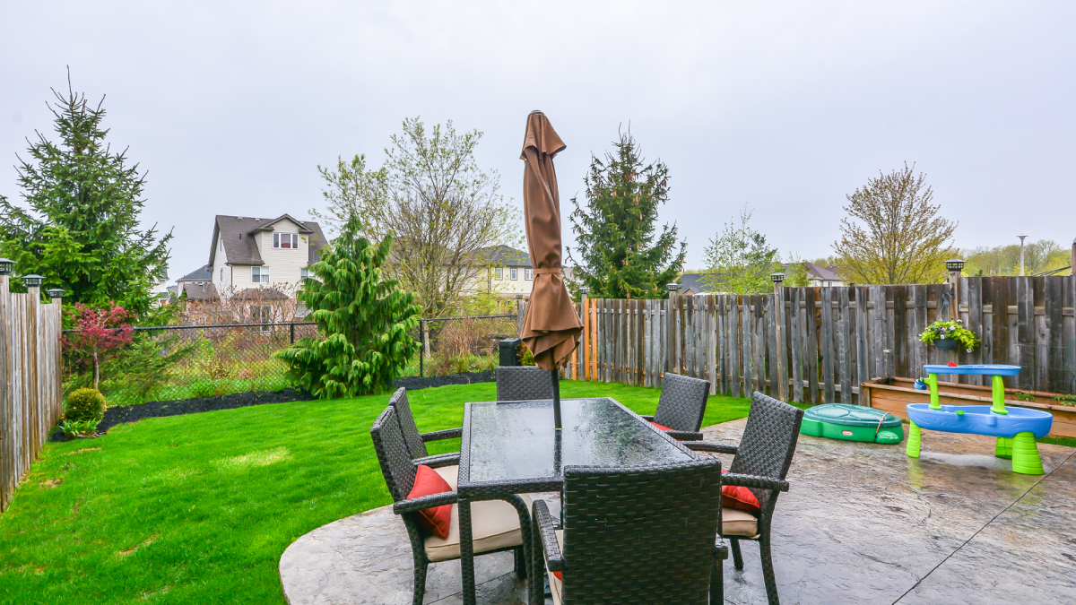 Backyard